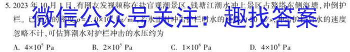 2024年湖北省新高考信息卷(二)2物理`