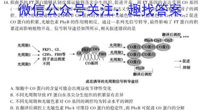 2024届龙东十校高三4月联考生物学试题答案