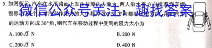 河北省2023-2024学年第一学期九年级教学质量检测四f物理