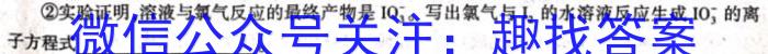 3国考1号10·第10套·2024届高三阶段性考试(七)化学试题