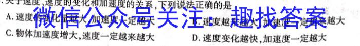 2024年德州二模 高考适应性练习物理`