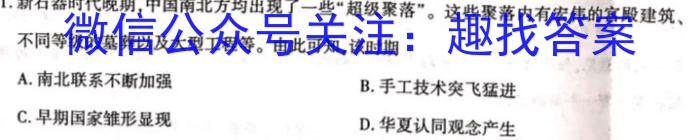 湖南省长郡教育集团2024年春季九年级期中限时检测试卷历史试题答案