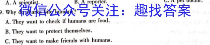 甘肃省合水一中高三级12月份教学质量检测考试(9106C)英语