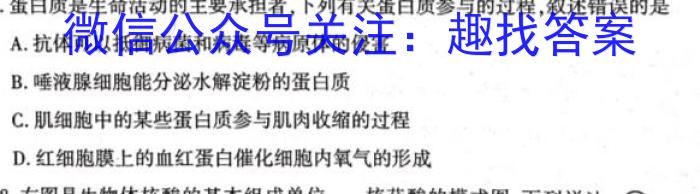 山西省2023~2024学年度第一学期高二期末检测试卷(242553Z)生物学试题答案