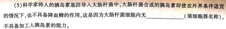 湖南省2024年邵阳市拔尖创新人才早期培养高一第一次联考试题卷生物学部分