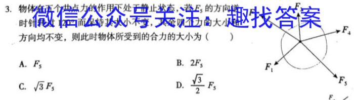 蓉城名校联盟2024~2025学年度上期高中2022级入学联考物理试题答案