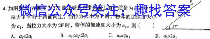 九师联盟·河南省商丘市2023-2024学年高二下学期期中考试（4.27）物理