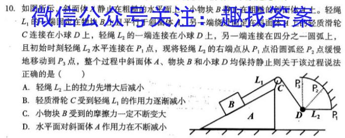 百师联盟 2024届高三信息押题卷(一)(百A)物理`