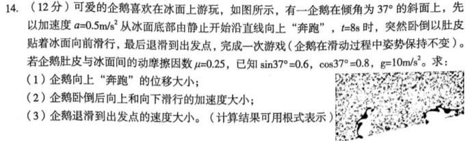 2023-2024学年辽宁省高一考试6月联考(24-583A)(物理)试卷答案