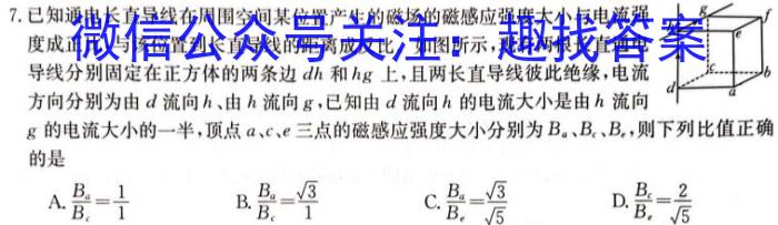 甘肃省中学2302-2024-2高一期中试卷(241784D)物理试卷答案