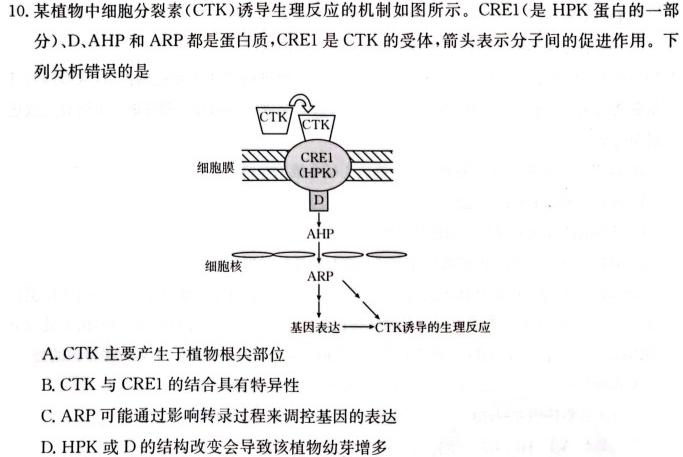 T8联考·山西省2024届高三年级下学期3月联考生物学部分