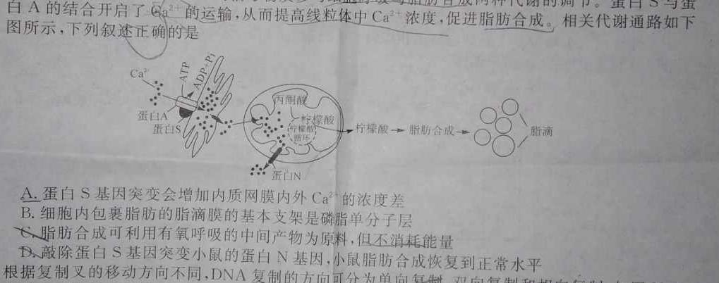 江西省赣州市2023~2024学年度高三第一学期期末考试(2024年1月)生物学