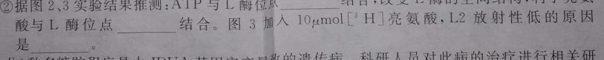 青桐鸣 2025届普通高等学校招生全国统一考试 青桐鸣高二联考(4月)生物学部分