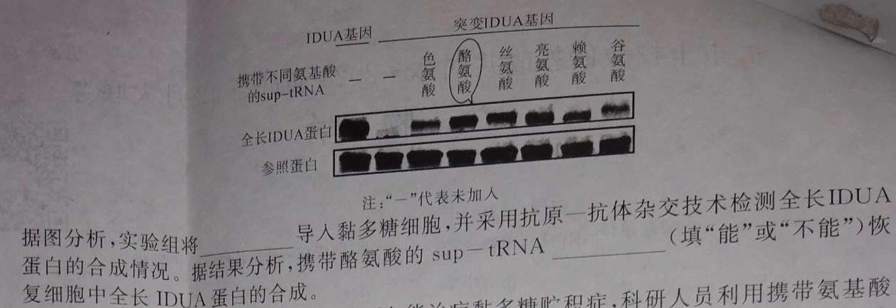 2024年河南省初中第一次学业水平测试（A）生物学