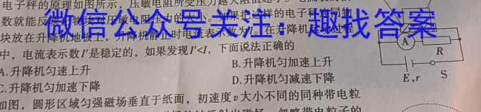 安徽省庐江县2023-2024学年度上学期高一年级期末考试物理试卷答案