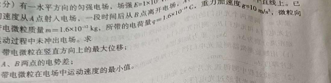 [今日更新]2024年湖南省普通高中学业水平合格性考试高二仿真试卷(专家版四).物理试卷答案