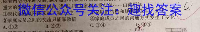 2024年普通高等学校全国统一模拟招生考试金科·新未来12月联考政治~