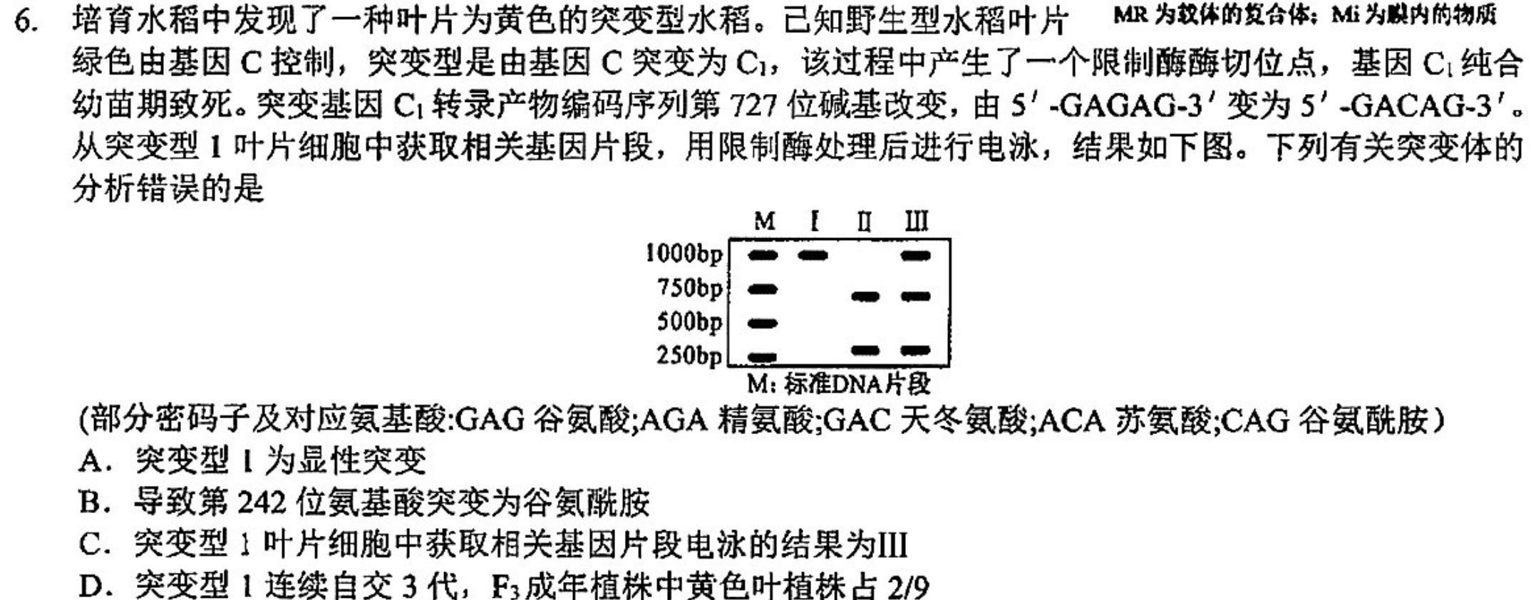 2024届陕西省西工大附中九年级第九次适应性训练[24-9]生物学部分