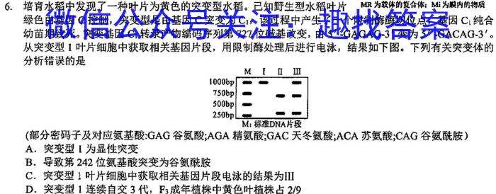 江淮名校·2023-2024学年高二年级上学期阶段性联考（12月）生物学试题答案