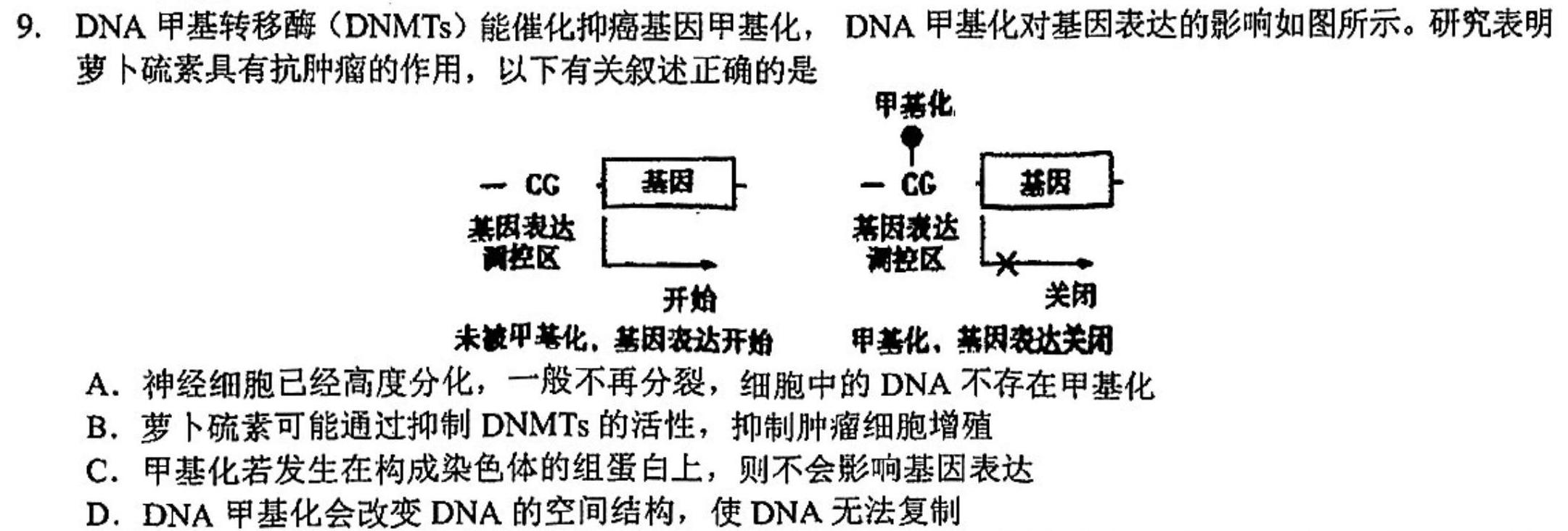 山东中学联盟2024届高三考前模拟冲刺大联考生物