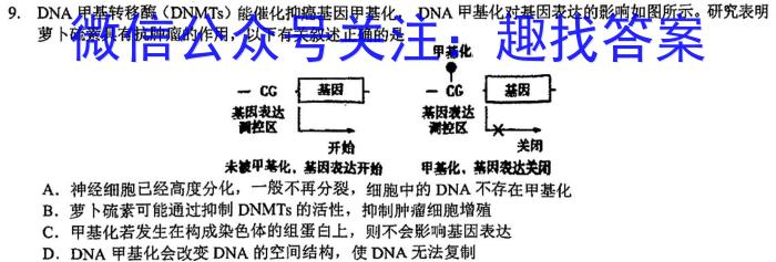 2024届四川省六市三诊(眉山 自贡 遂宁 广安 雅安 广元)生物学试题答案