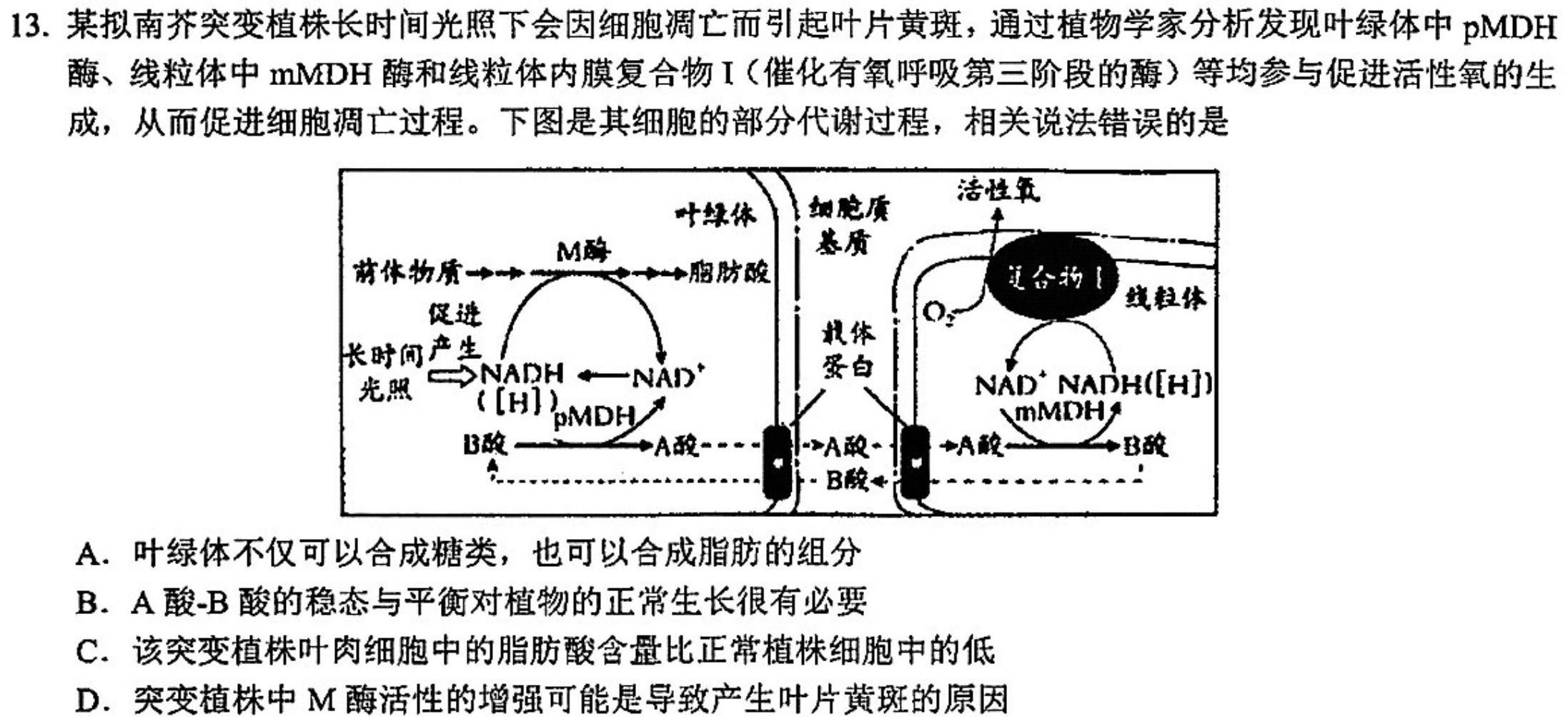 晋升学2023~2024学年第二学期七年级期末学业诊断(6月)生物学部分