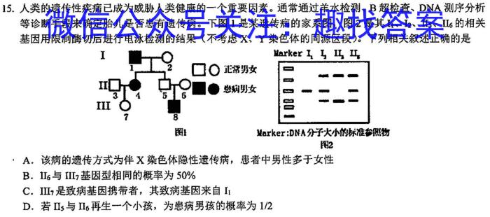 2023-2024上学期衡水金卷先享题月考卷高三六调(新教材)生物学试题答案