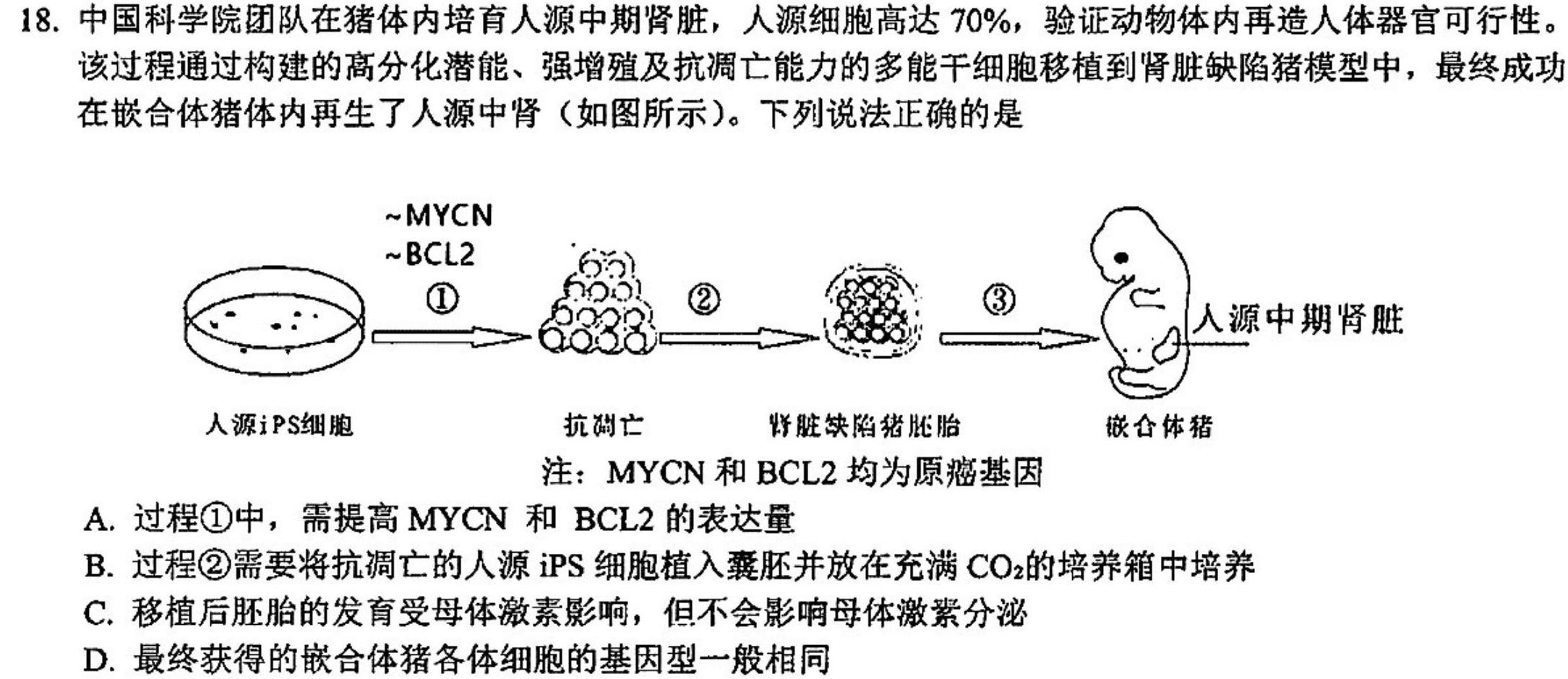 开封五校2023-2024学年高二年级上学期期末联考（242555D）生物学部分