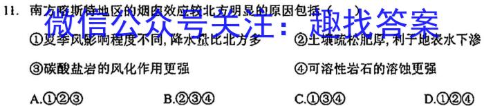 百校联赢·2024安徽名校大联考三地理试卷答案