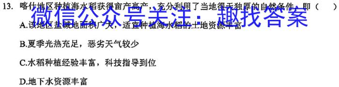 江西省宜春市上高县2024-2025学年高三九月份月考政治1