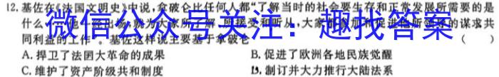 2024河南中考学业备考全真模拟试卷(信息卷)&政治