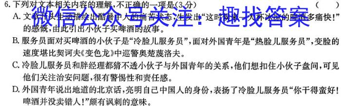 2024届陕西省九年级教学质量检测(24-CZ180c)/语文
