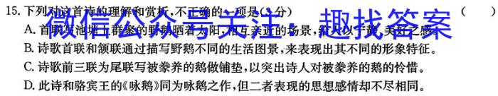 湖北省襄阳市优质高中2024届高三联考/语文