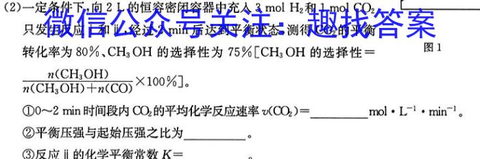 q河南省驻马店市2023-2024学年度第一学期九年级阶段监测（三）化学