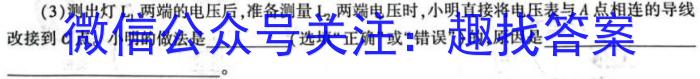 2024年陕西省初中学业水平考试仿真卷(六)6物理试卷答案