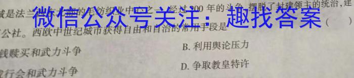 江西省青山湖区2023-2024学年度下学期九年级学业质量检测卷历史试卷答案