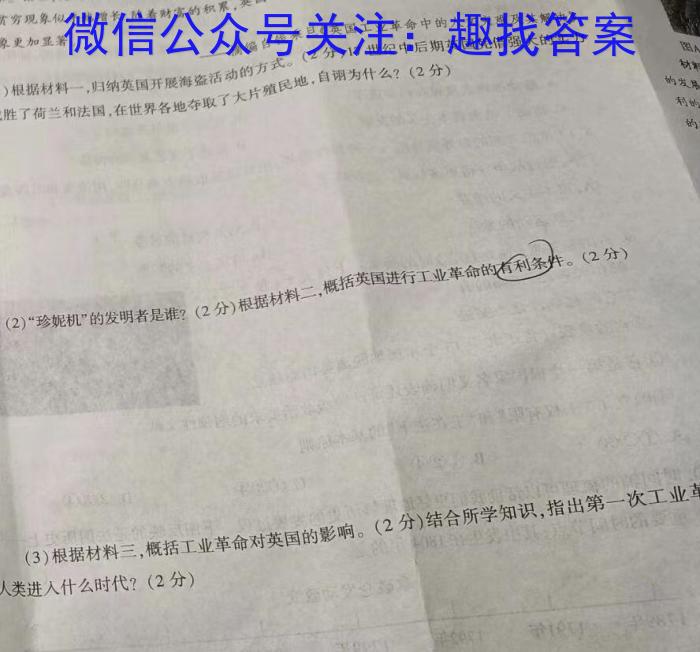 安徽省2024年九年级教学质量检测考试历史试卷答案