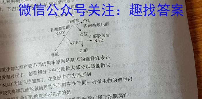 [咸阳二模]咸阳市2024年高考模拟检测(二)生物学试题答案