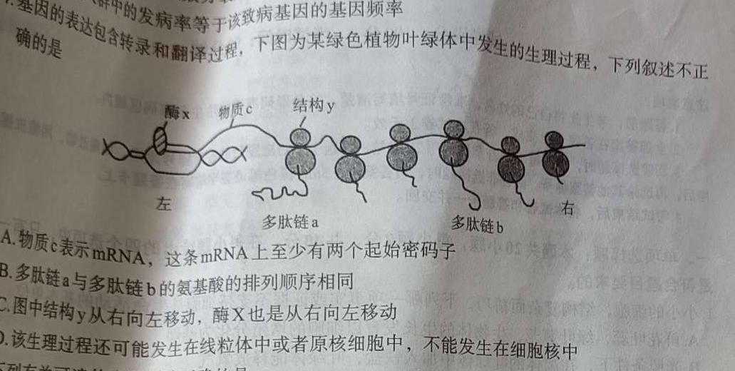 天一大联考 湖南省2024届高三12月联考生物学部分