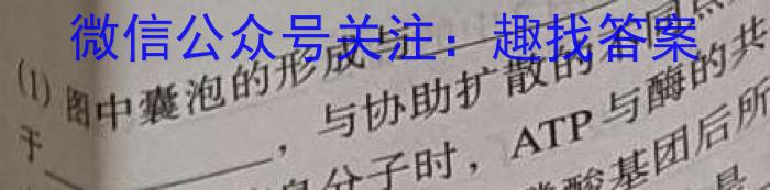 河南省2023-2024学年度高一创新联盟1月联考生物学试题答案