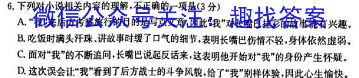 河南省2023-2024学年高二年级阶段性测试（期末考试）/语文