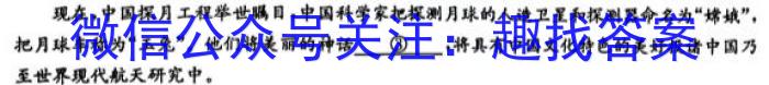 安徽省亳州市2024届九年级上学期期末考试语文