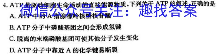 安徽省2025届九年级随堂练习（九月份）生物学试题答案