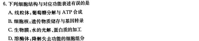 湖南省岳阳市2023-2024学年度高二上学期期末考试生物