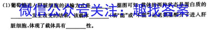 炎德英才大联考 雅礼中学2024届高三月考试卷(六)6生物学试题答案