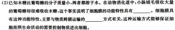 2024年河南省普通高中招生考试 密押卷B生物