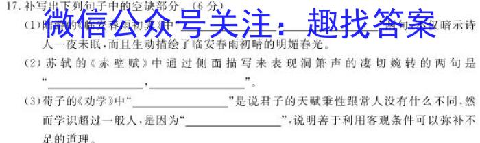 山西省2024届太原市成成中学校（晋源校区）初三年级学情诊断（二）语文