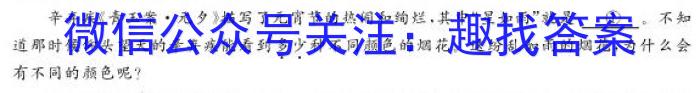 神州智达2024-2025高三省级联测考试(一)摸底卷语文