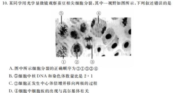 [高州一模]高州市2024届高三第一次模拟考试(24312C)生物学部分