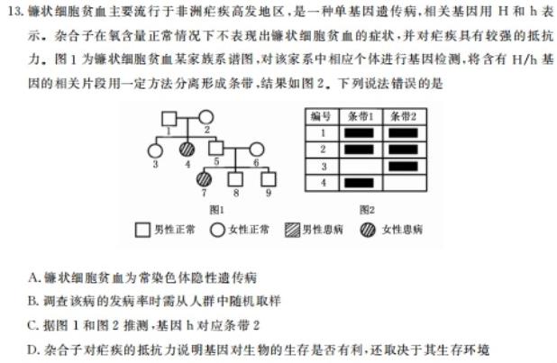 (网络收集)2024年上海卷生物学部分